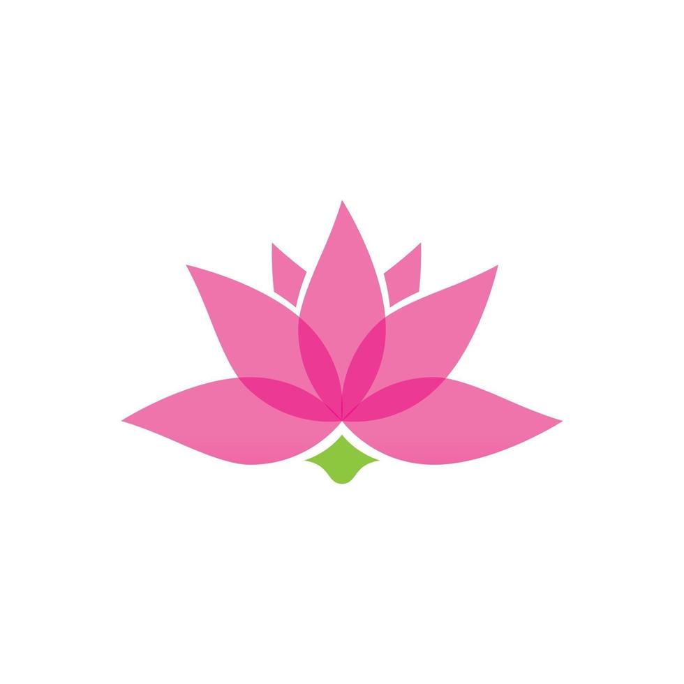 Stylized lotus flower icon vector