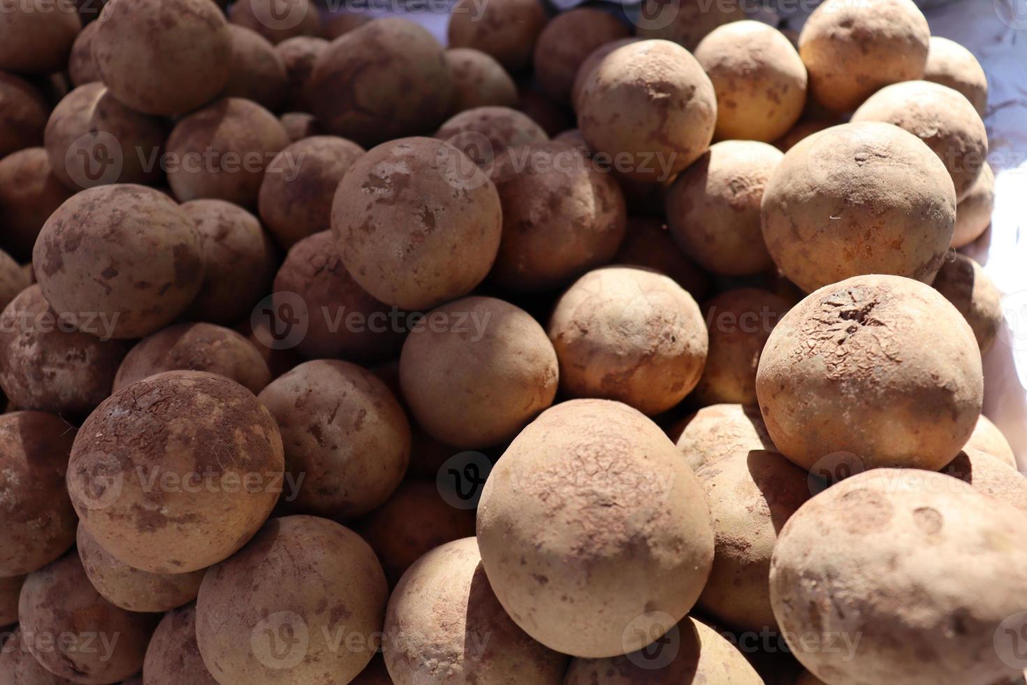 tasty and healthy sapodilla stock photo