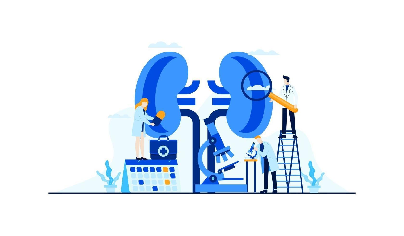 kidney disease vector flat illustration doctor's research for treatment concept design template banner