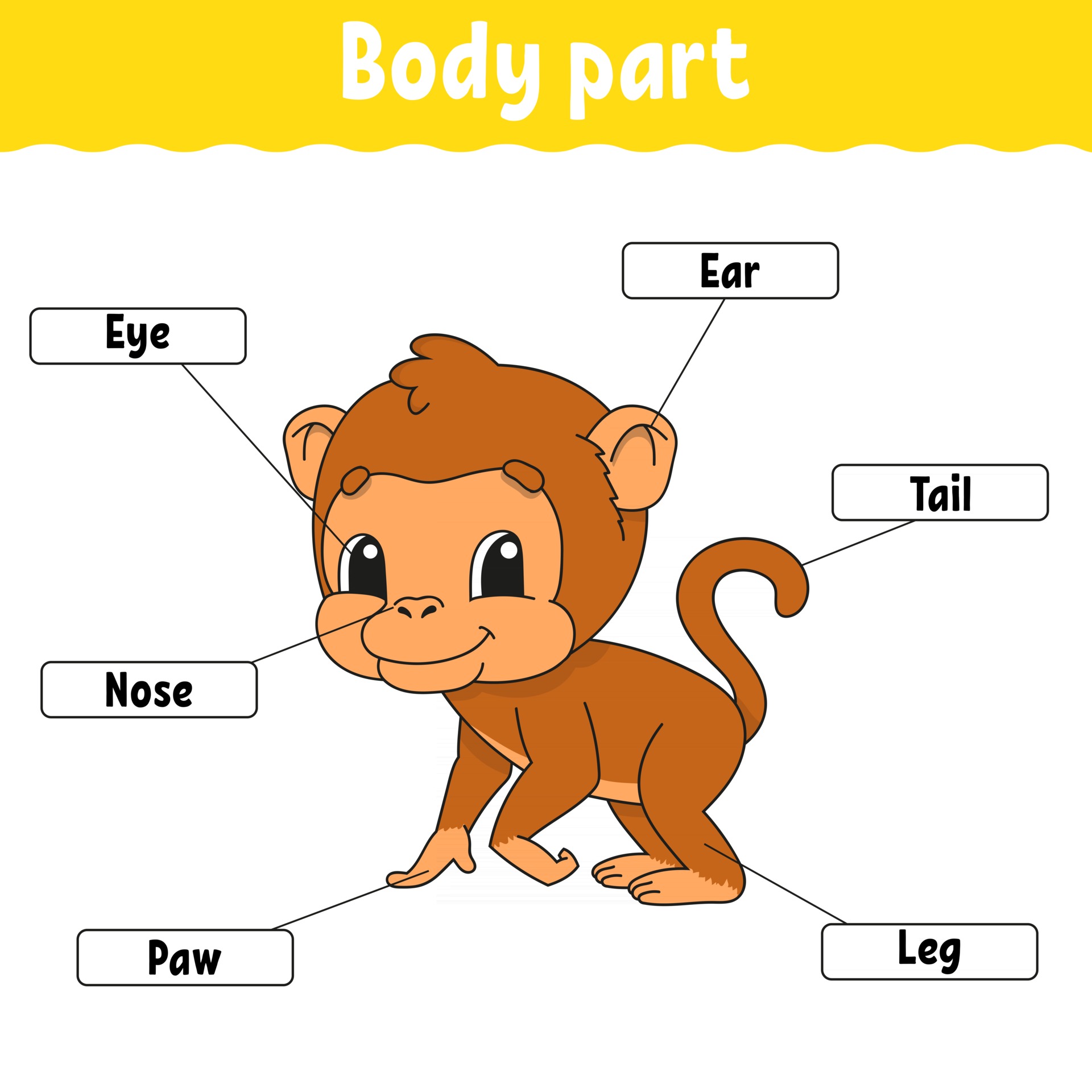 Body part. Learning words. Education developing worksheet. Activity page  for study English. Game for children. Funny character. Isolated vector  illustration. Cartoon style. 2930919 Vector Art at Vecteezy