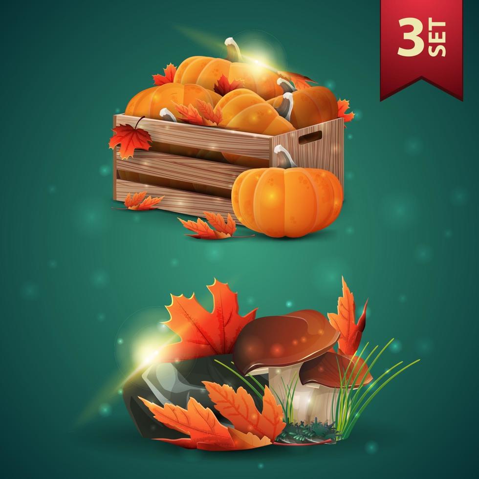 Set of autumns 3D icons, wooden crates of ripe pumpkins, autumn eaves, mushrooms and autumn leaves vector