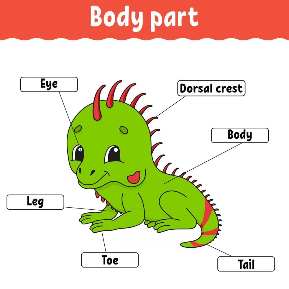 Body part. Learning words. Education developing worksheet. Activity page  for study English. Game for children. Funny character. Isolated vector  illustration. Cartoon style. 2931290 Vector Art at Vecteezy