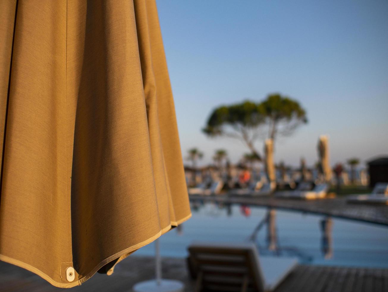 umbrella on the background of the pool in hotels in not focus photo