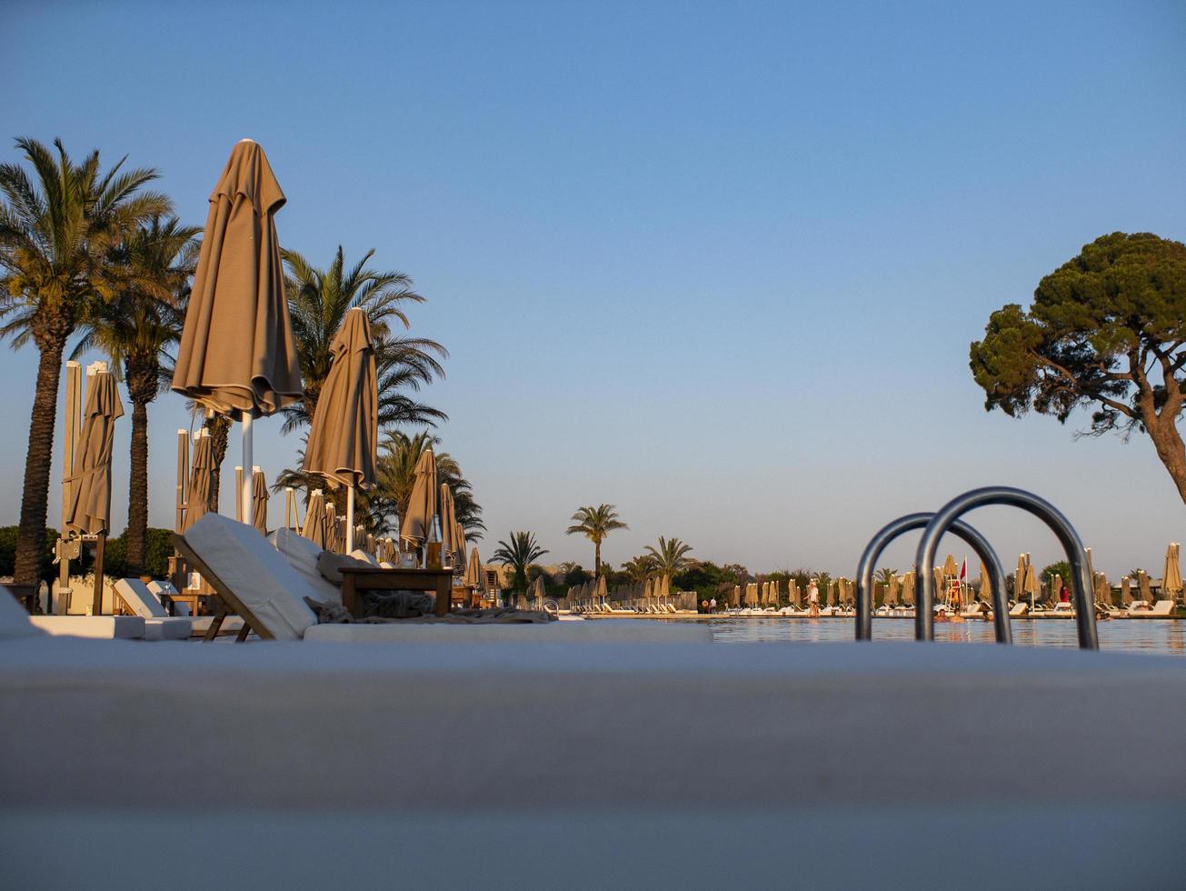 sunbeds and umbrellas near resort's pool . Sun beds and umbrellas at the poolside photo