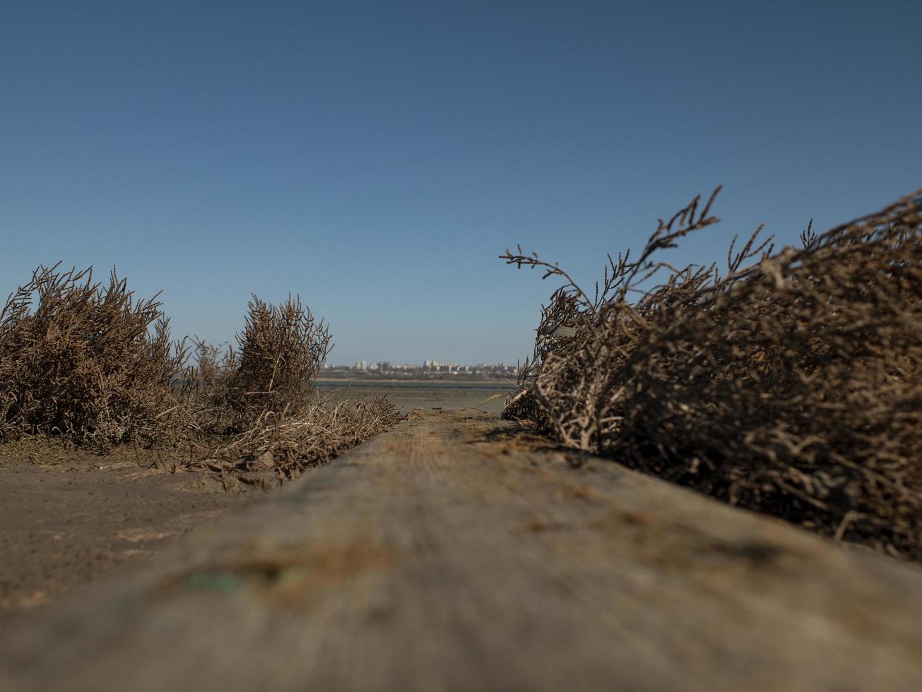 wooden bollards in the sand against the estuary and blue sky. kuyalnitsky estuary photo