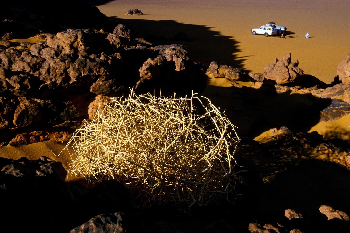 Tassili n'Ajjer desert, National Park, Algeria - Africa photo