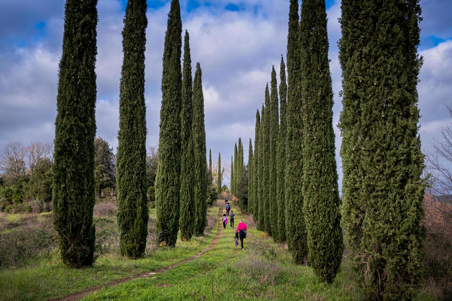 Massa Marittima, Accesa Lake - Grosseto, Tuscany, Italy photo