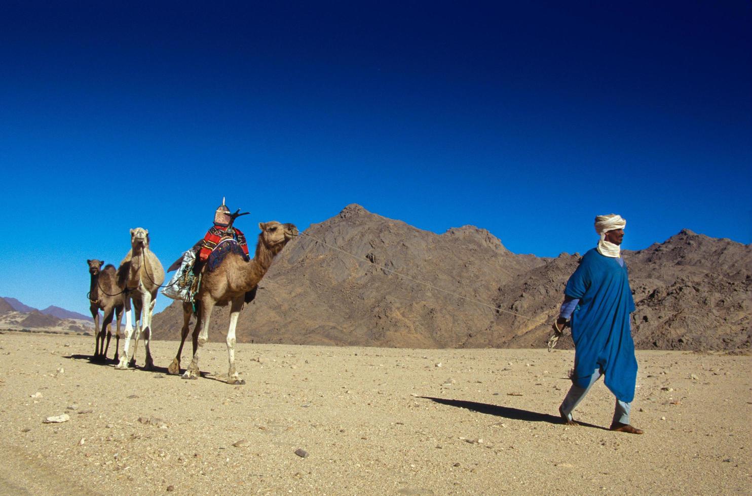 Tikobaouine, Italy 2010- Unknown touareg with camel walking in the Tassili n'Ajjer desert photo