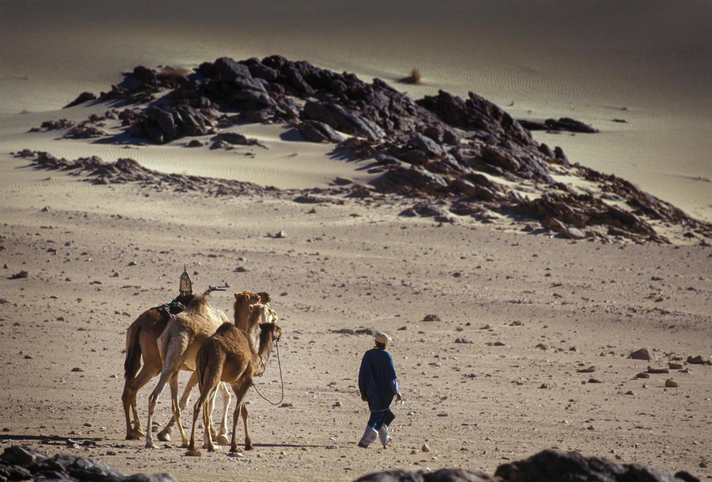 Tikobaouine, Algeria 2010- Unknown touareg with camel walking in the Tassili n'Ajjer desert photo