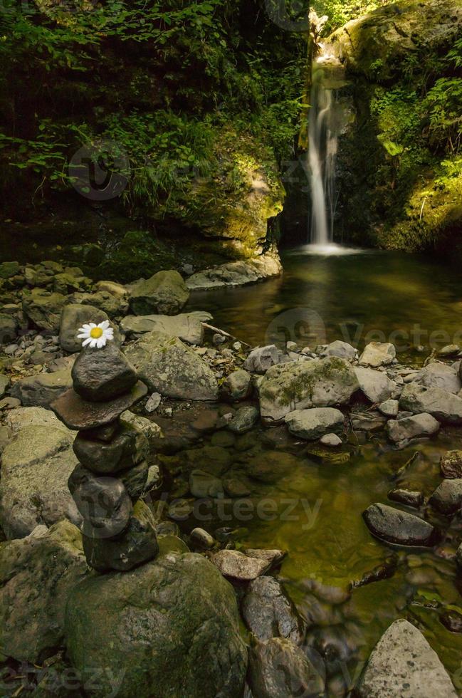 Piedras apiladas y flores en frente de una cascada en las montañas de los Cárpatos que fluye de un barranco tallado en piedra y cubierto de musgo foto