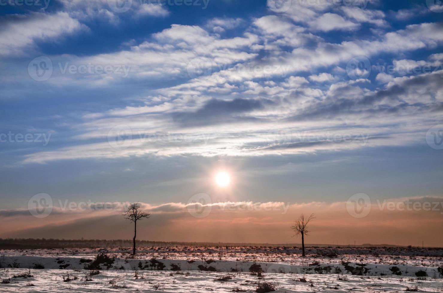 paisaje invernal con el sol custodiado por dos pequeños árboles como modelos en una pasarela foto