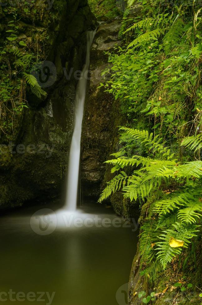 Waterfall in Carpathian Mountains flowing off a gully carved in stone and covered by moss photo