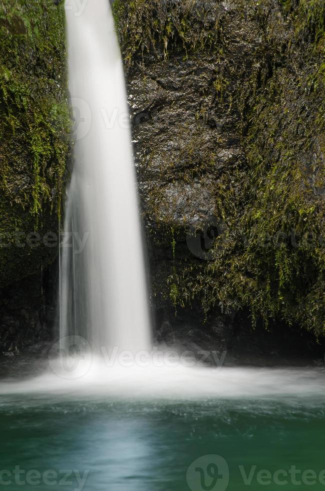 A small waterfall in Carpathian Mountains flowing off a gully carved in stone and covered by moss photo
