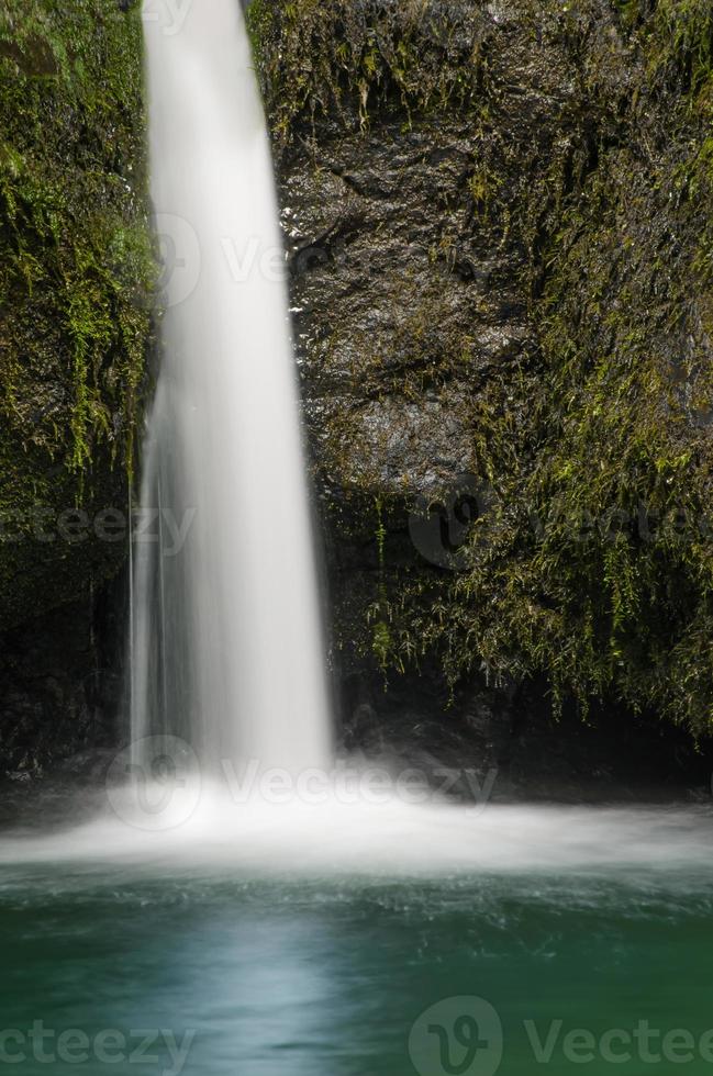 una pequeña cascada en las montañas de los Cárpatos que fluye de un barranco tallado en piedra y cubierto de musgo foto