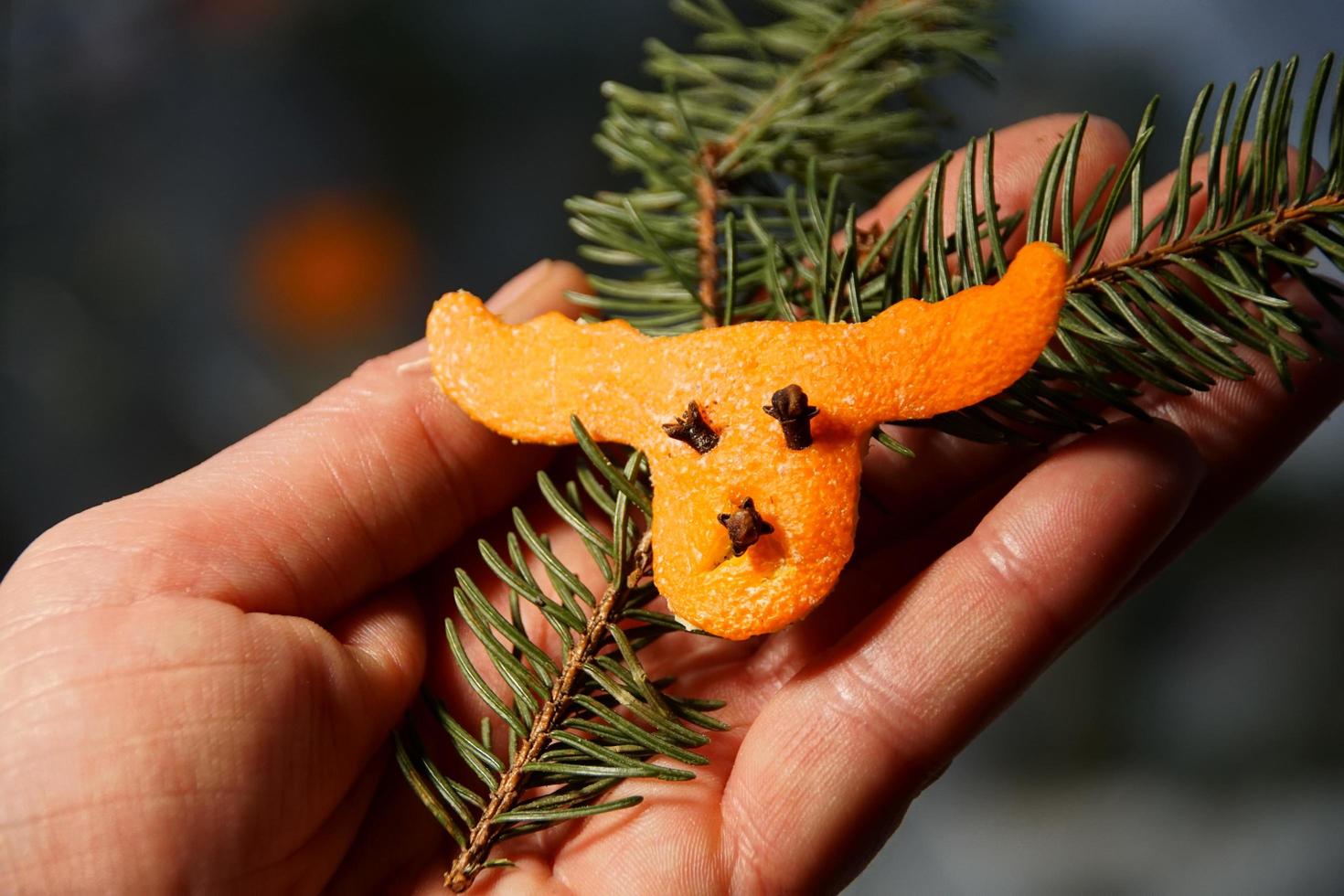 Reno de Rudi como figuras decorativas navideñas hechas de piel de naranja y una pequeña rama de árbol de Navidad en la mano de la mujer. foto