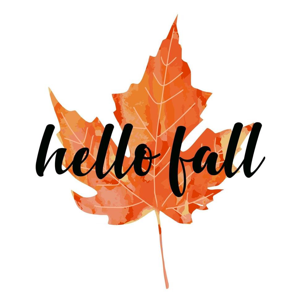 Beautiful calligraphy lettering text - Hello Fall. Bright orange red watercolor artistic maple leaf vector illustration isolated on white background. Autumn welcoming greeting poster design.
