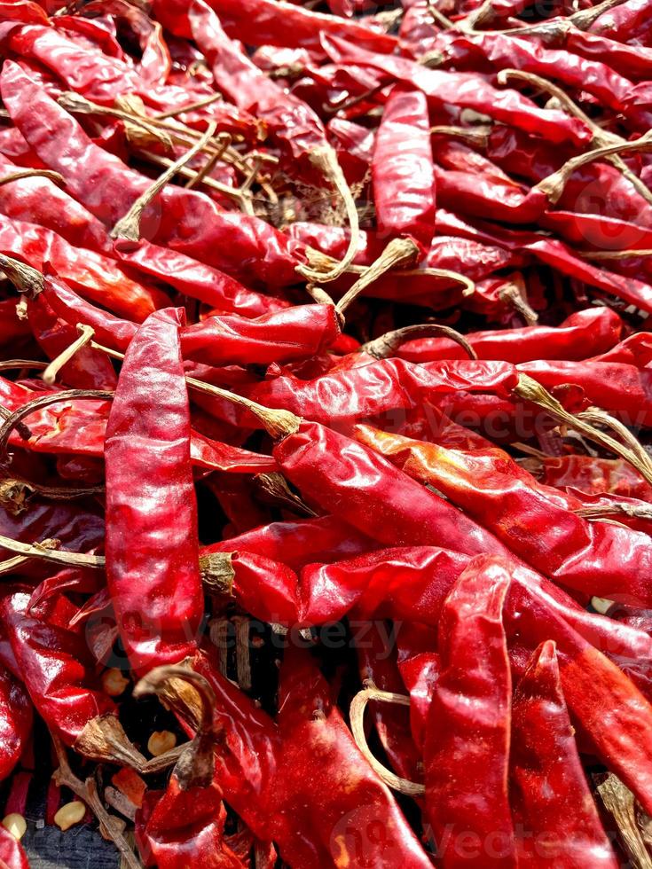 red hot and spicy chili stock photo