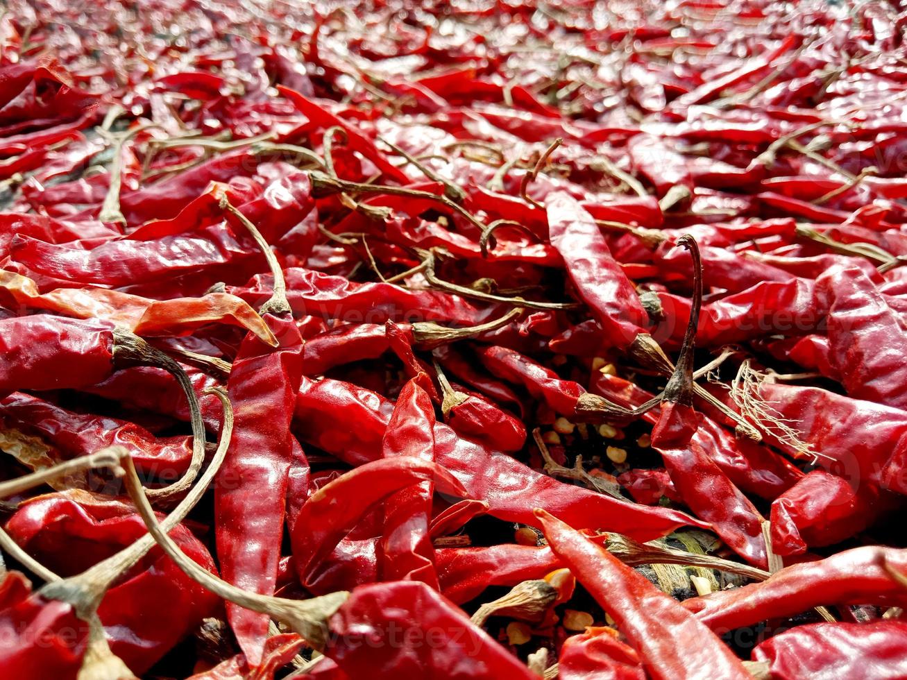 caldo de chile rojo picante y picante foto