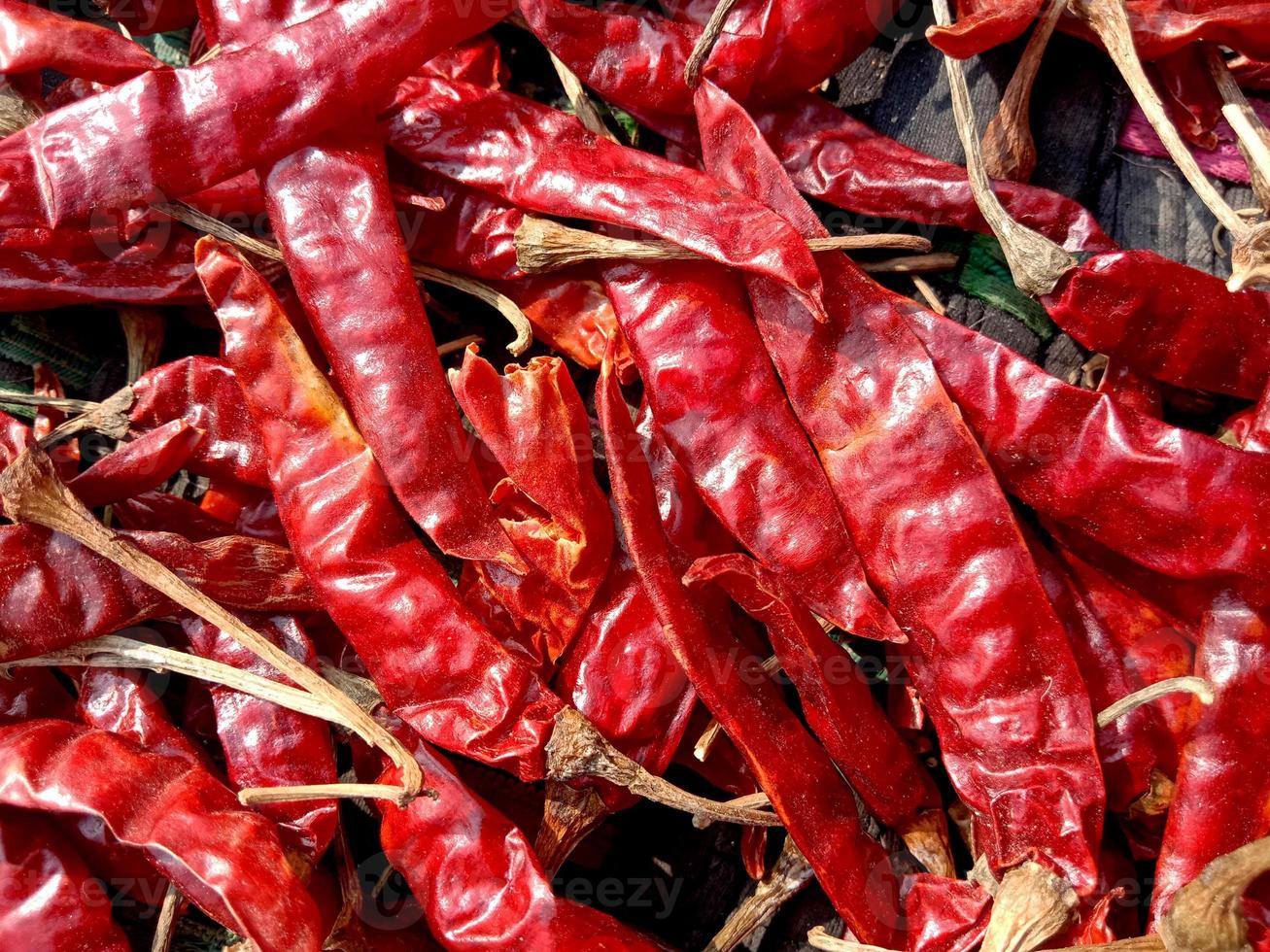 red hot and spicy chili stock photo