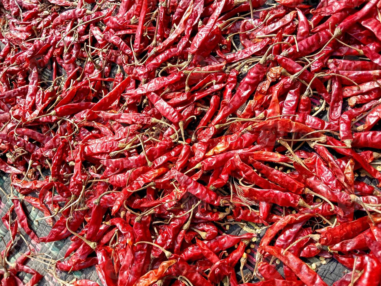 caldo de chile rojo picante y picante foto