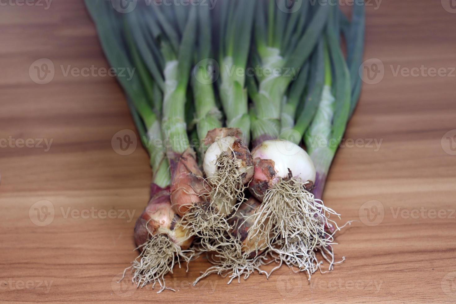 cebolla verde con caldo de hojas foto