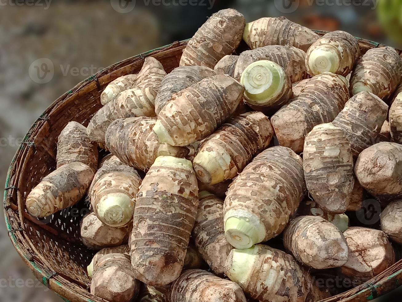 fresh and healthy Arbi stock photo