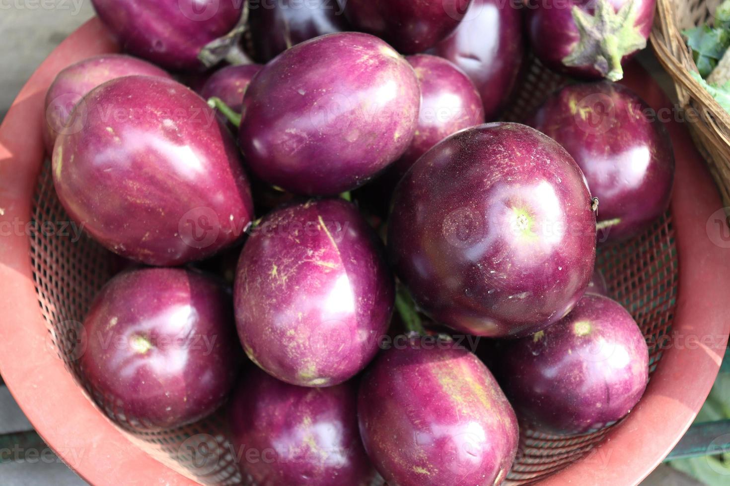 tasty and healthy violet colored Brinjal stock photo
