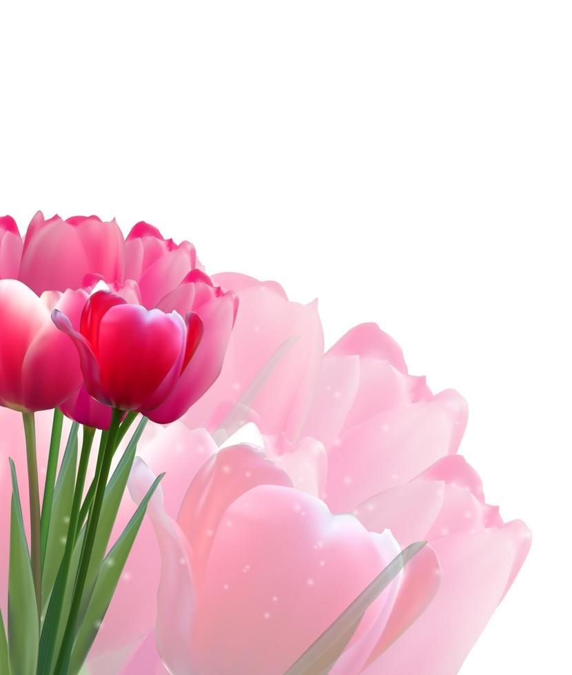 Floral background with Tulips Vector Illustration