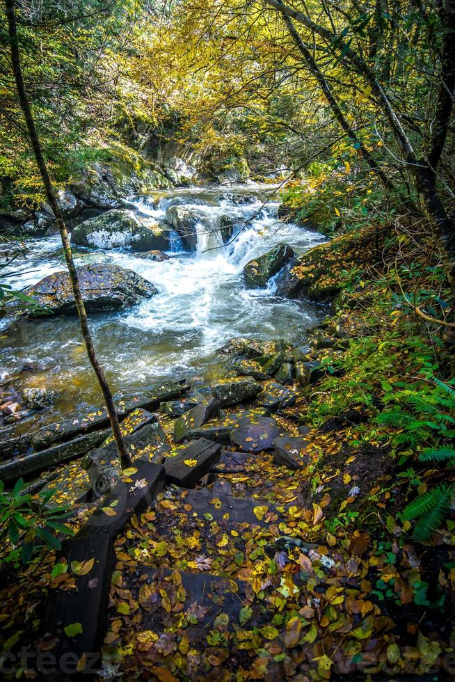 pintoresco paisaje de virginia creeper trail en otoño foto