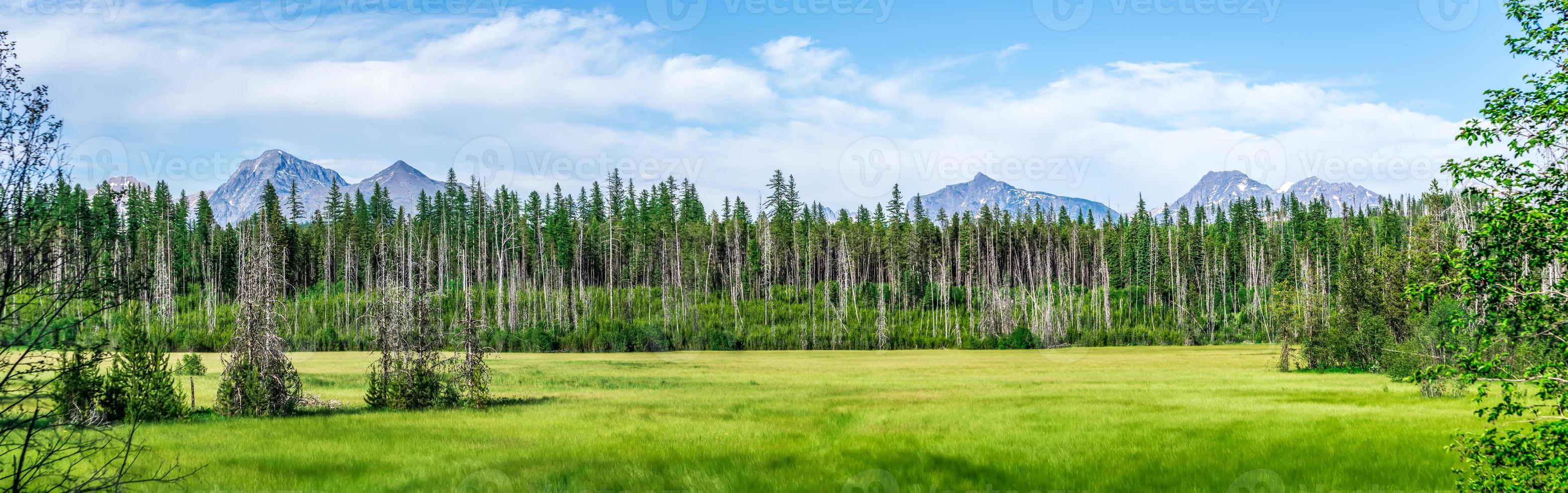 Lake McDonald Glacier National Park photo