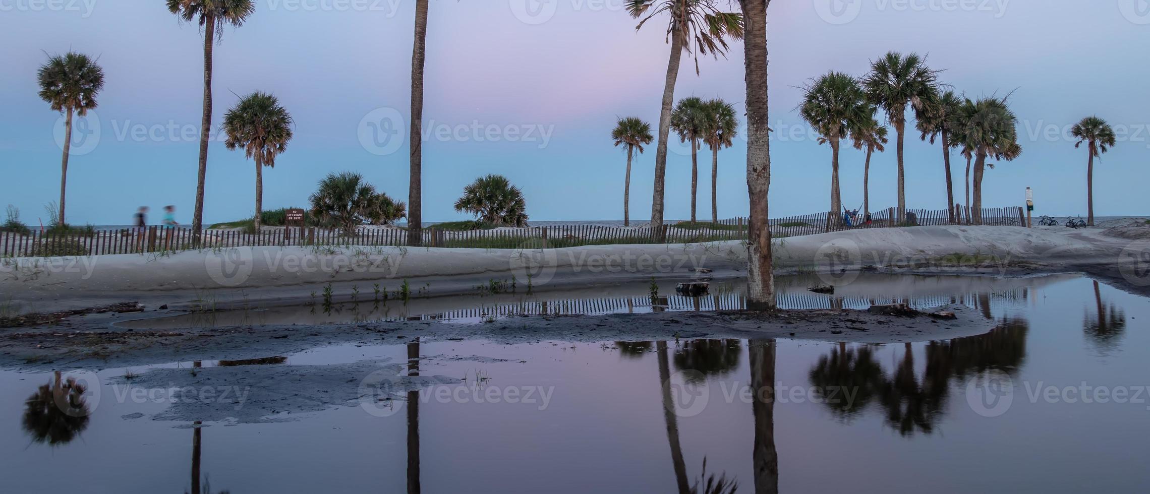 escenas alrededor de la isla de caza de carolina del sur en verano foto