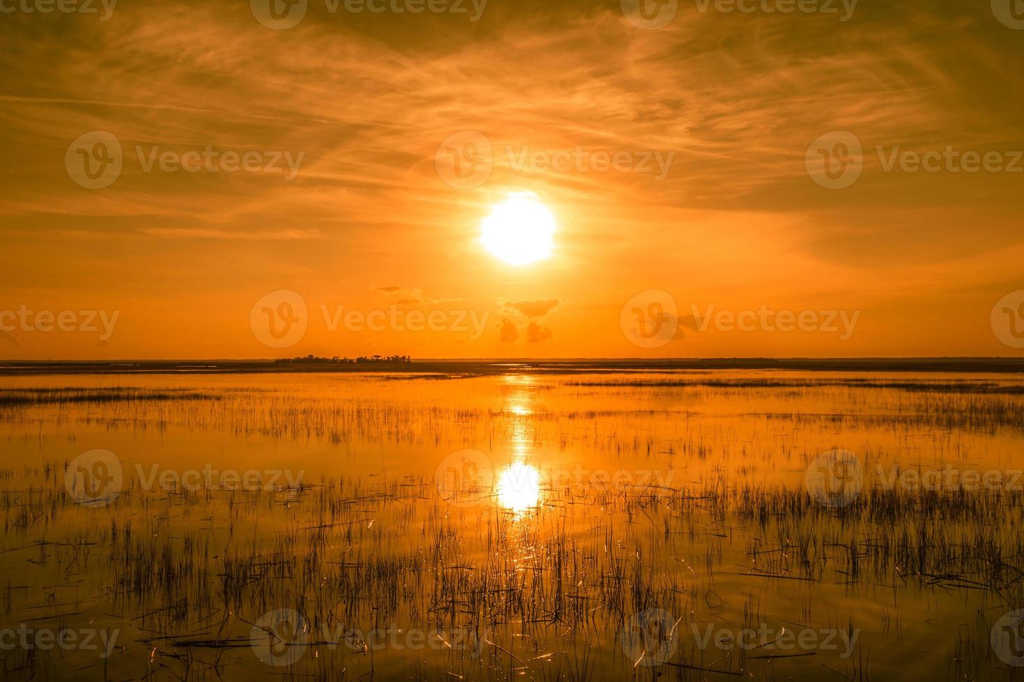 escenas de paisajes naturales alrededor del parque estatal de la isla de caza en carolina del sur foto