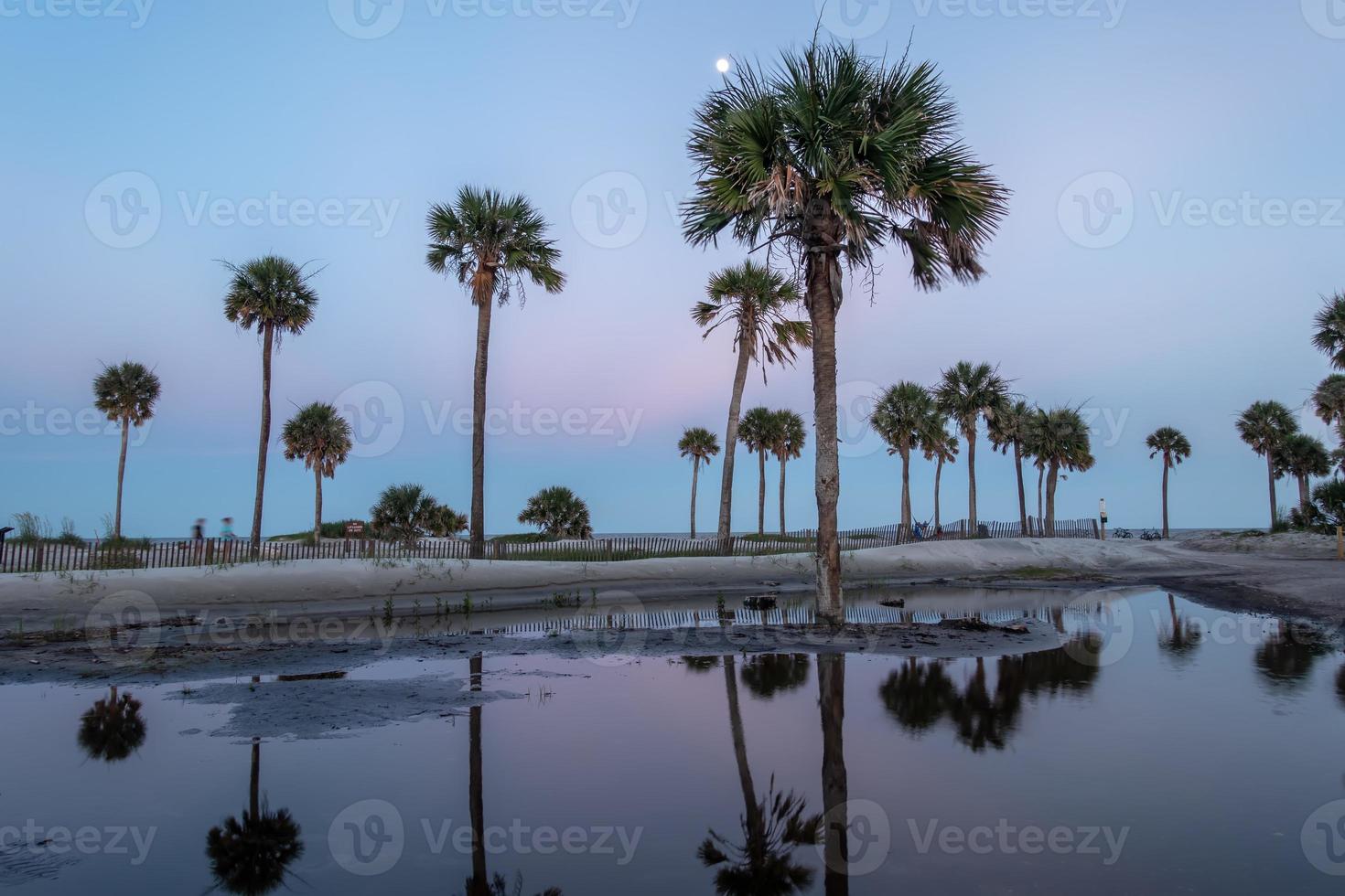 escenas alrededor de la isla de caza de carolina del sur en verano foto