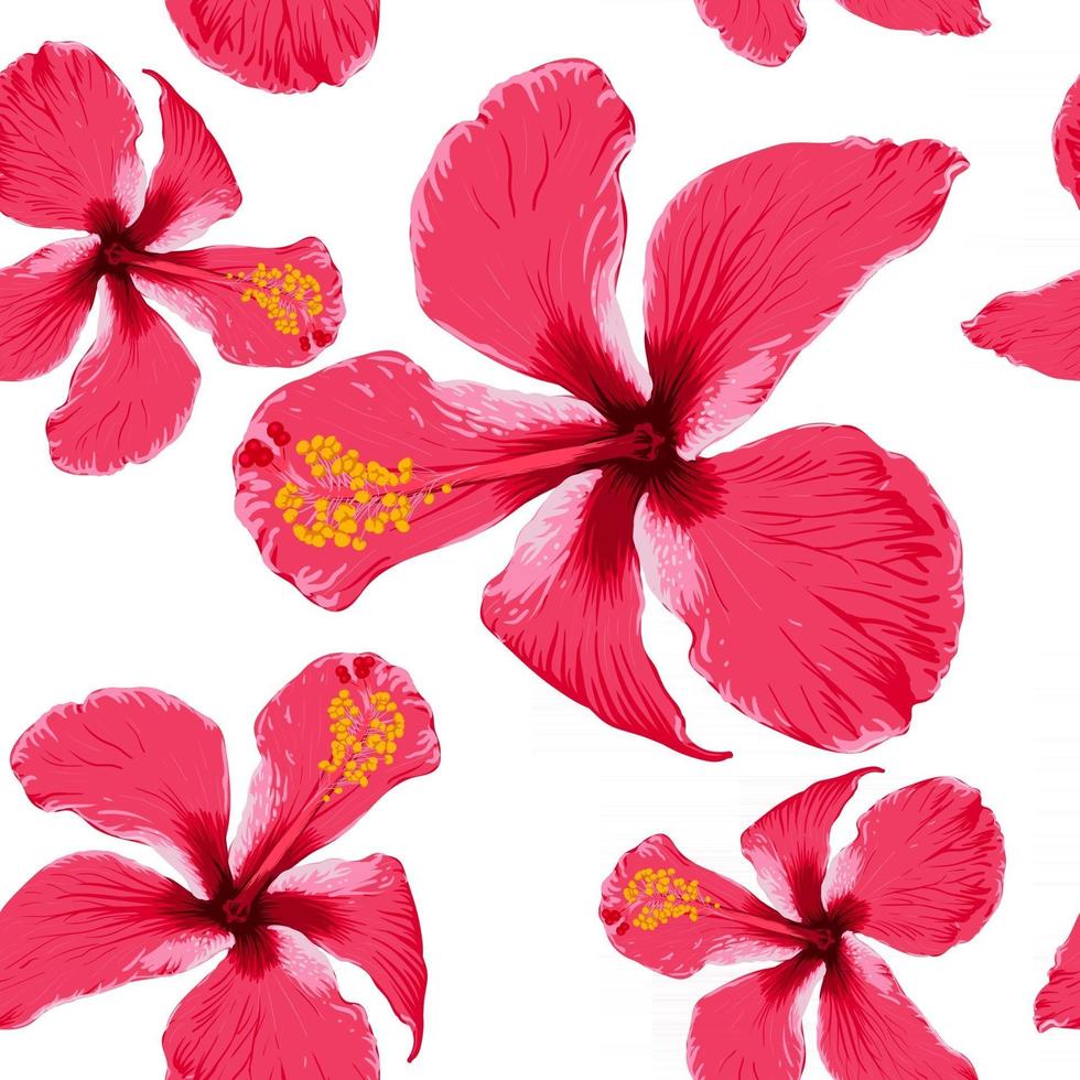 verano tropical de patrones sin fisuras con flores de hibisco rojo sobre fondo blanco aislado.ilustración vectorial dibujo a mano estilo acuarela seca. para diseño de tela. vector