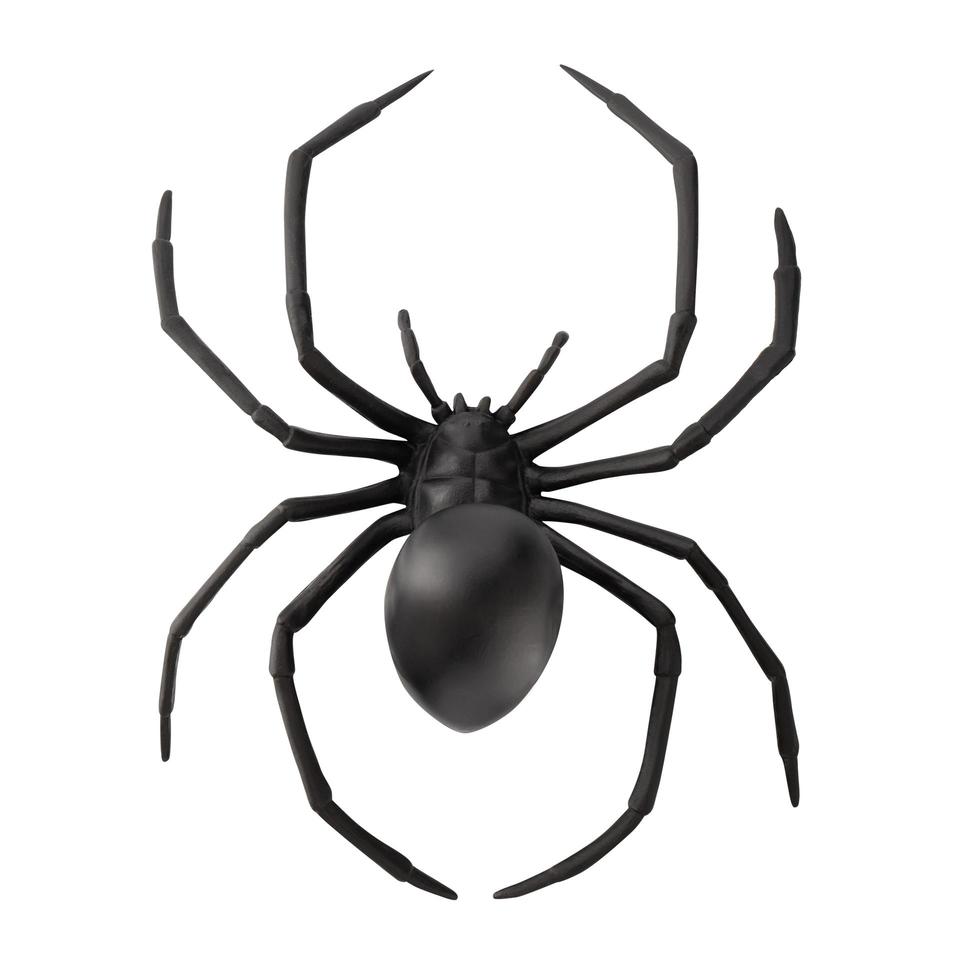 Fake rubber spider toy isolated over a white background photo