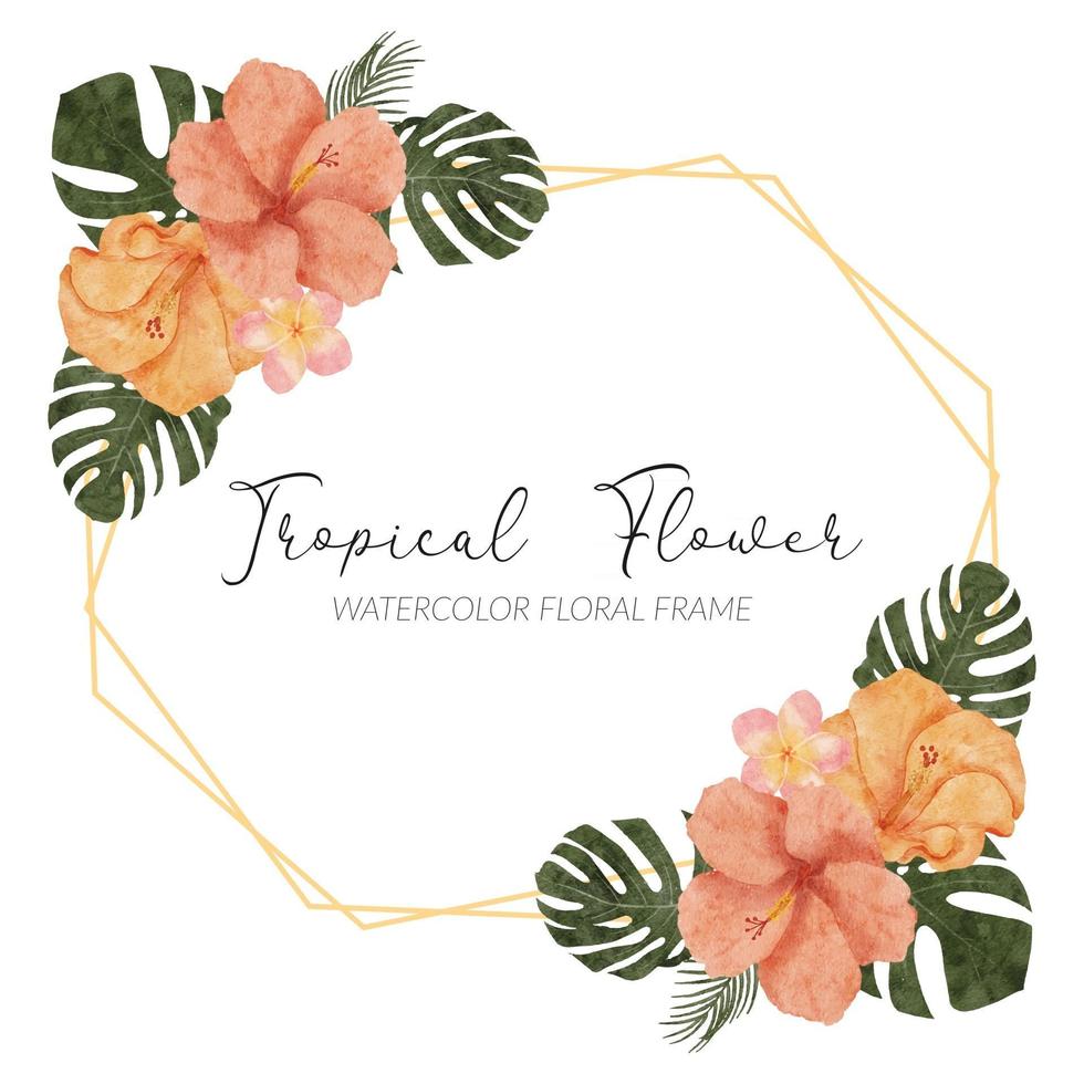watercolor summer tropical hibiscus flower rustic border vector