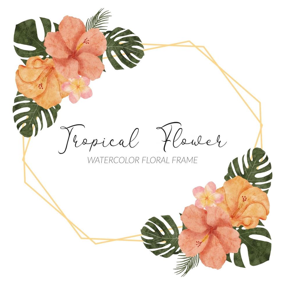 watercolor summer tropical hibiscus flower rustic border vector