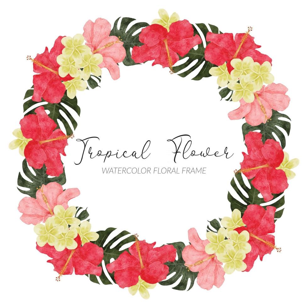 watercolor tropical hibiscus flower wreath frame vector