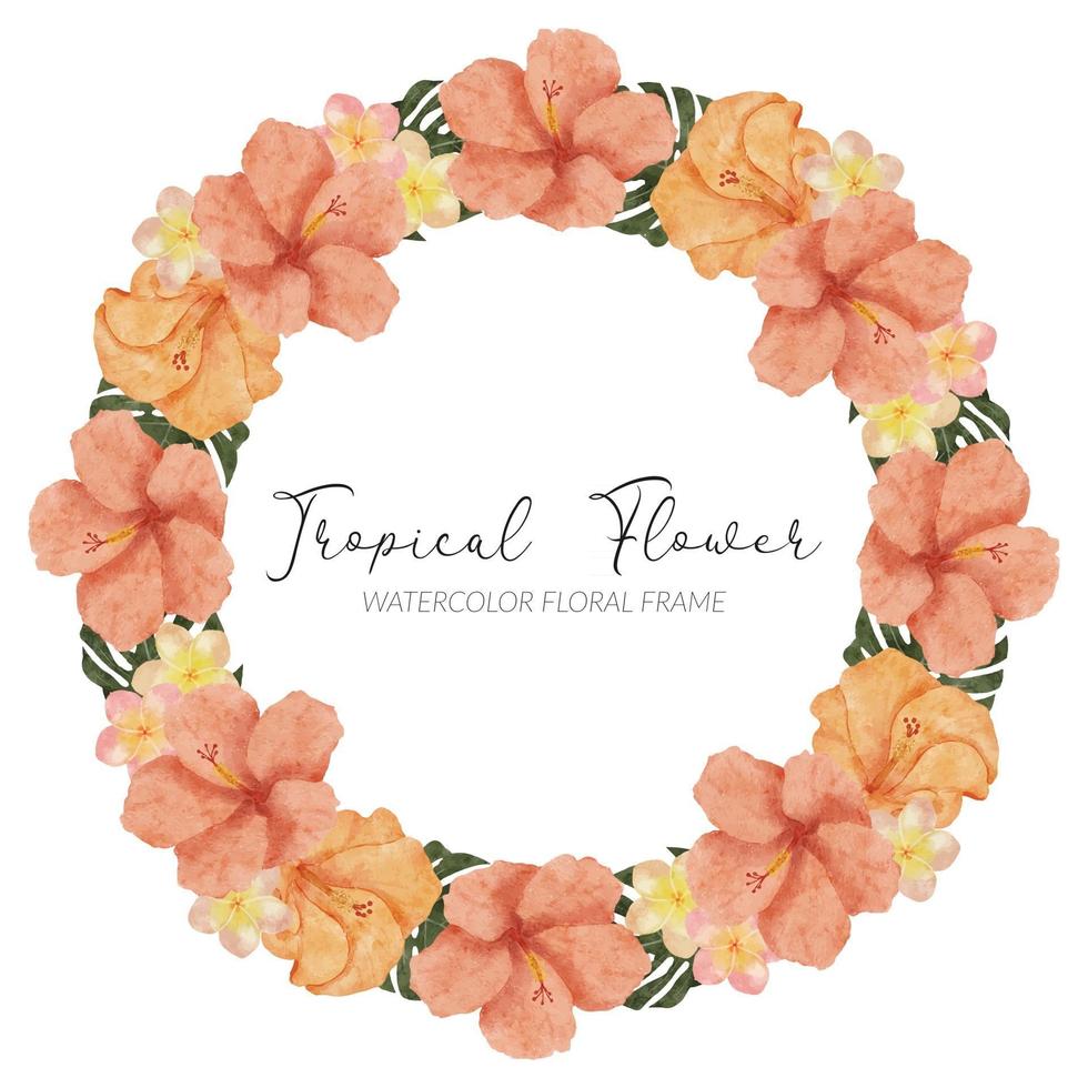 watercolor summer tropical hibiscus flower wreath frame vector