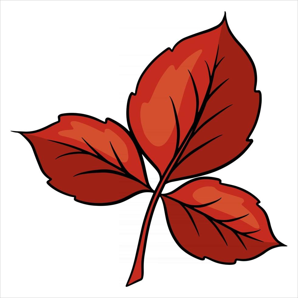 hoja de otoño tallada. naturaleza brillante hojas de árboles. estilo de dibujos animados. vector