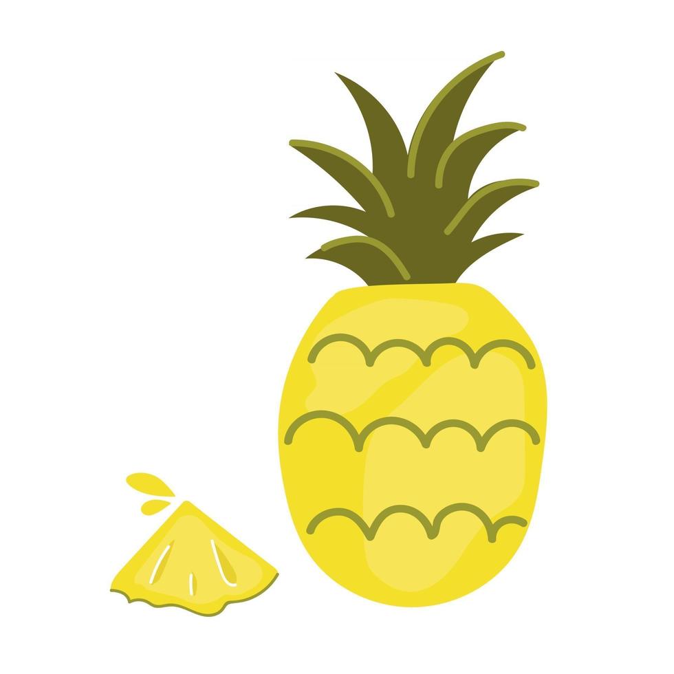 Hand drawn pineapple with slice. Exotic tropical summer fruit. Flat illustration. vector