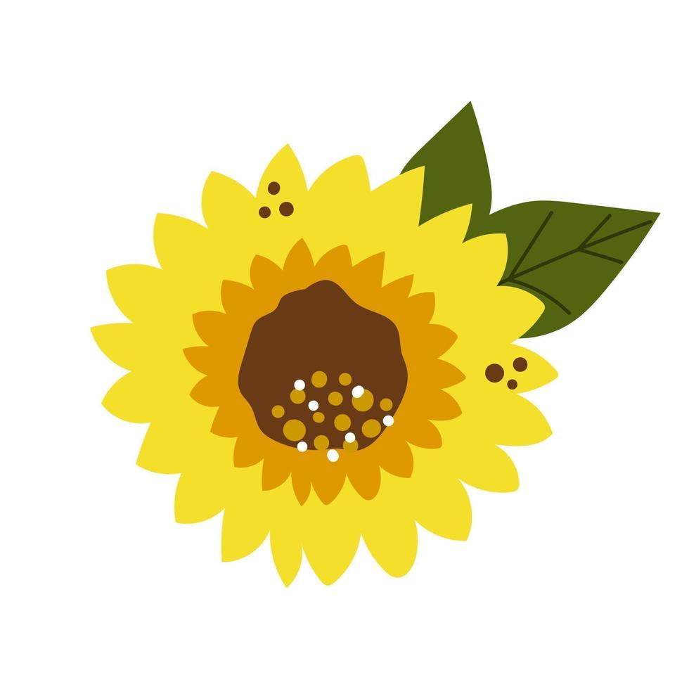 flor de girasol con hojas. ilustración plana. vector