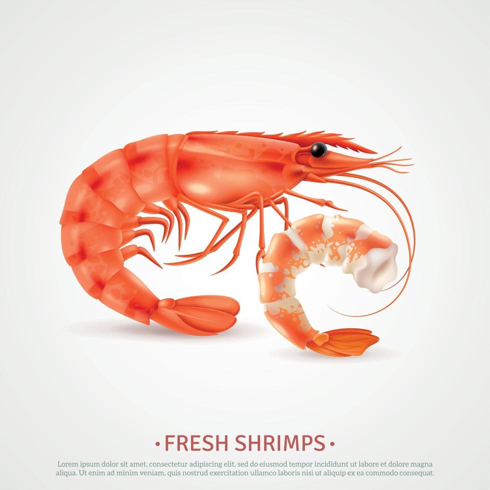 Ilustración de vector de publicidad realista de camarones de mariscos