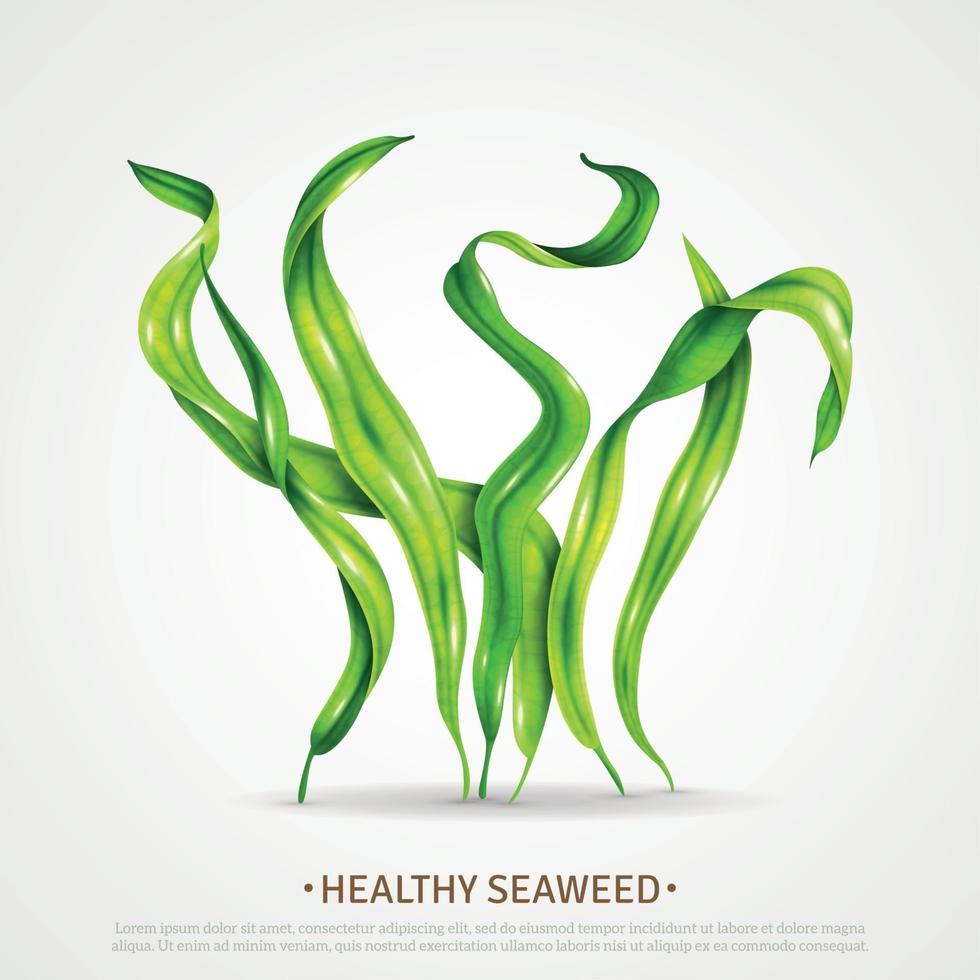 Spirulina Seaweed Realistic Poster Vector Illustration