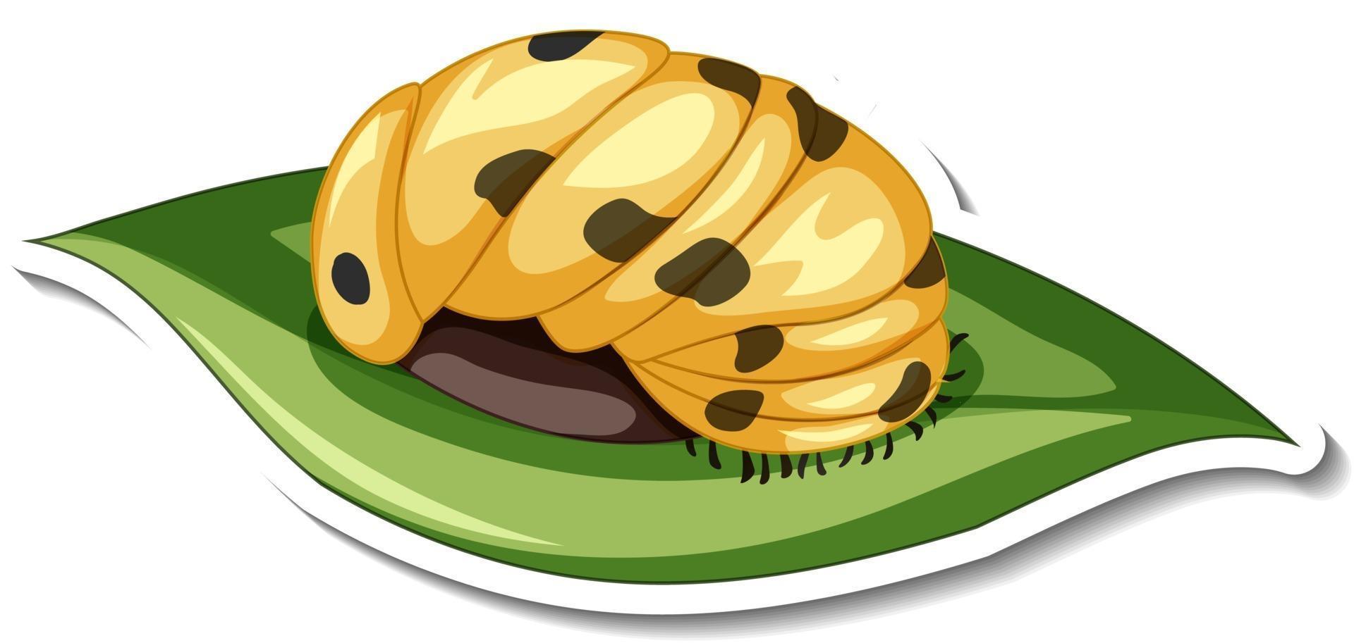 A sticker template with Caterpillar on a leaf isolated vector