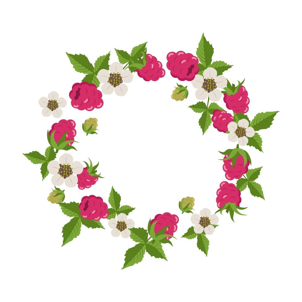 Frame with raspberries, leaves and white flowers on a white background. Round wreath with berries. Bright fruit summer pattern vector