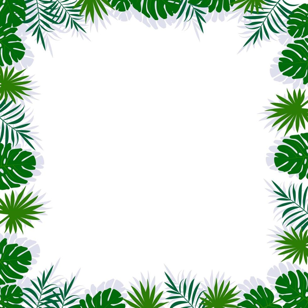 marco verde con hojas de palmera, sombra y espacio en blanco blanco vector
