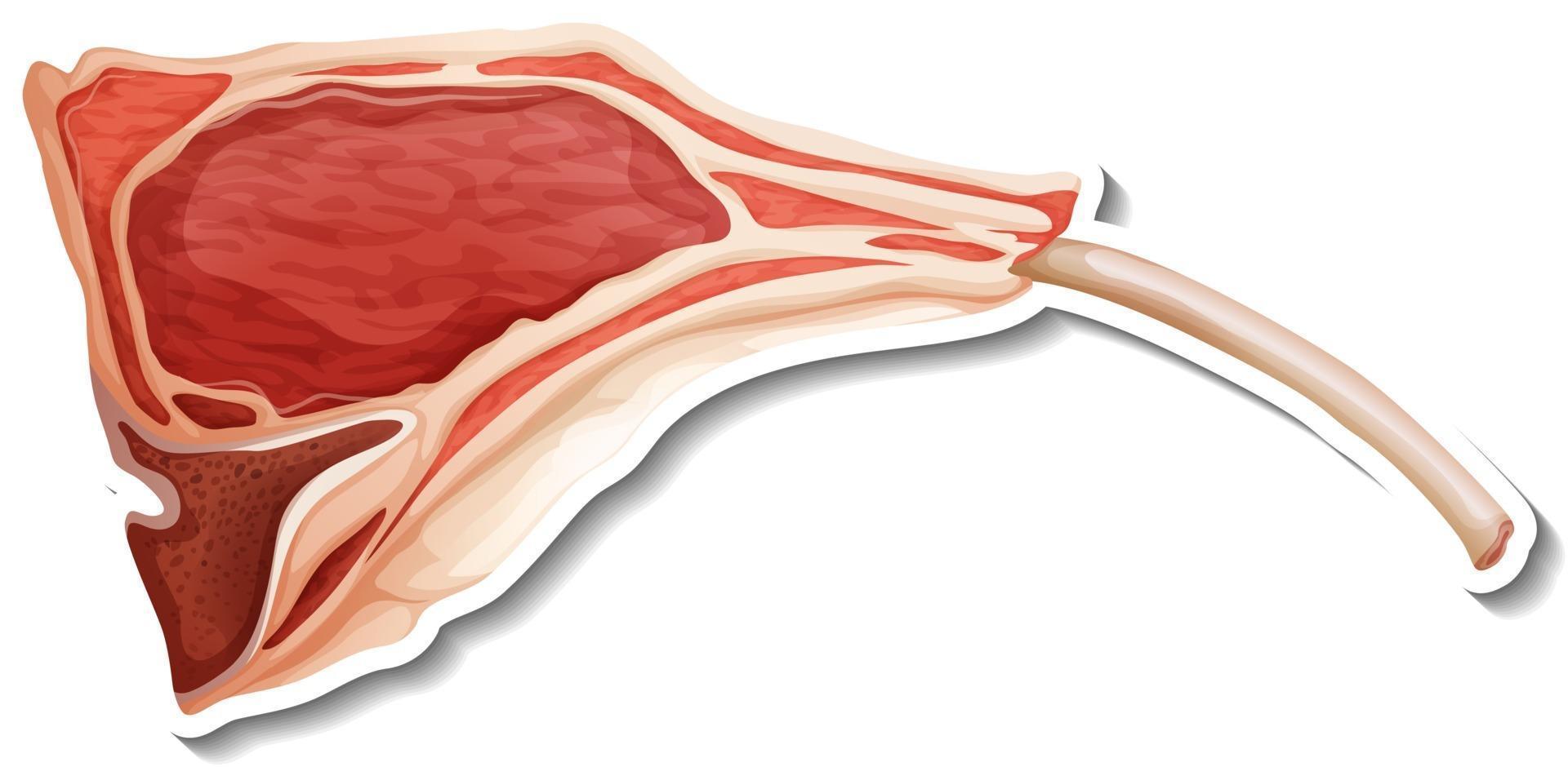 Lámpara chuleta de bistec adhesivo sobre fondo blanco. vector