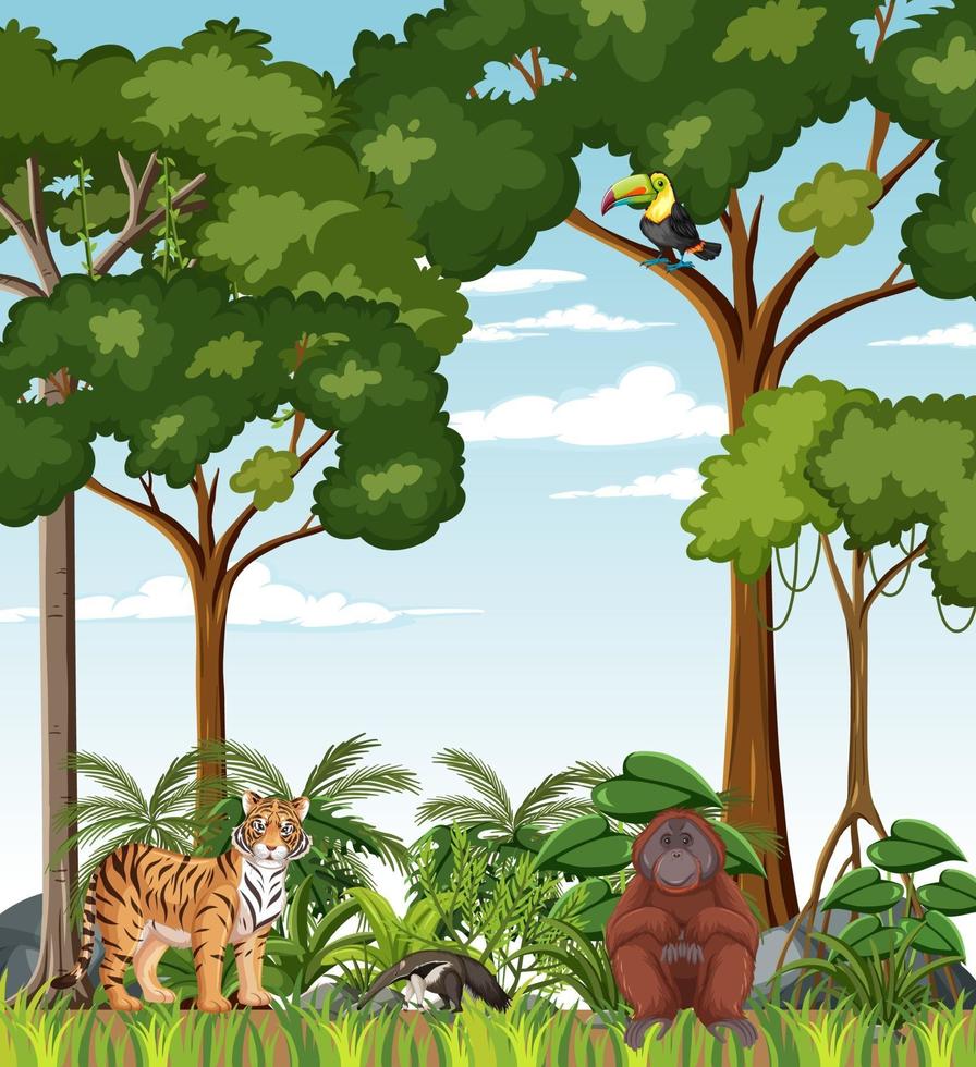 Tropical rainforest scene with various wild animals vector