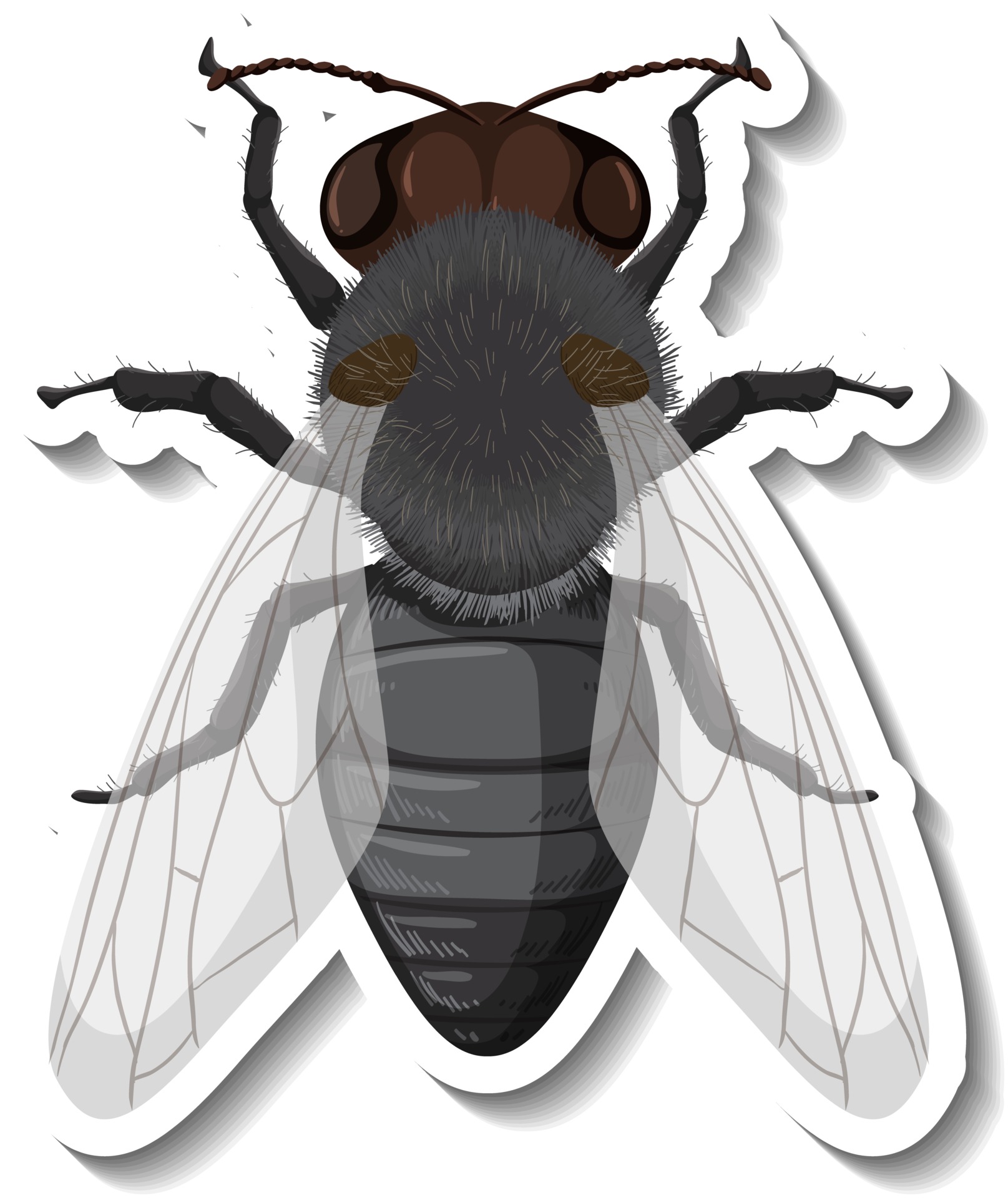A sticker template with top view of fly isolated 2939869 Vector Art at